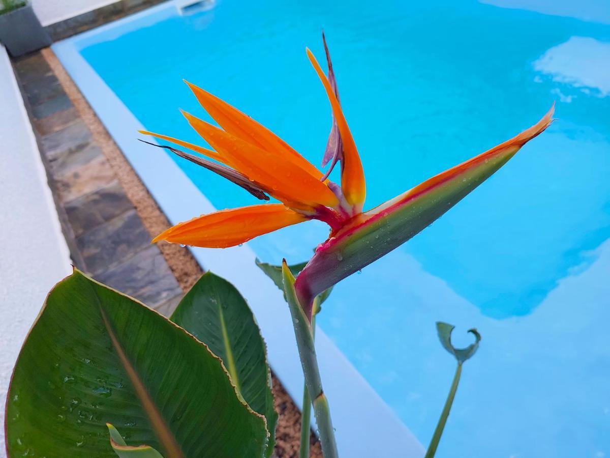 Appartamento Golden Square & Private Pool *